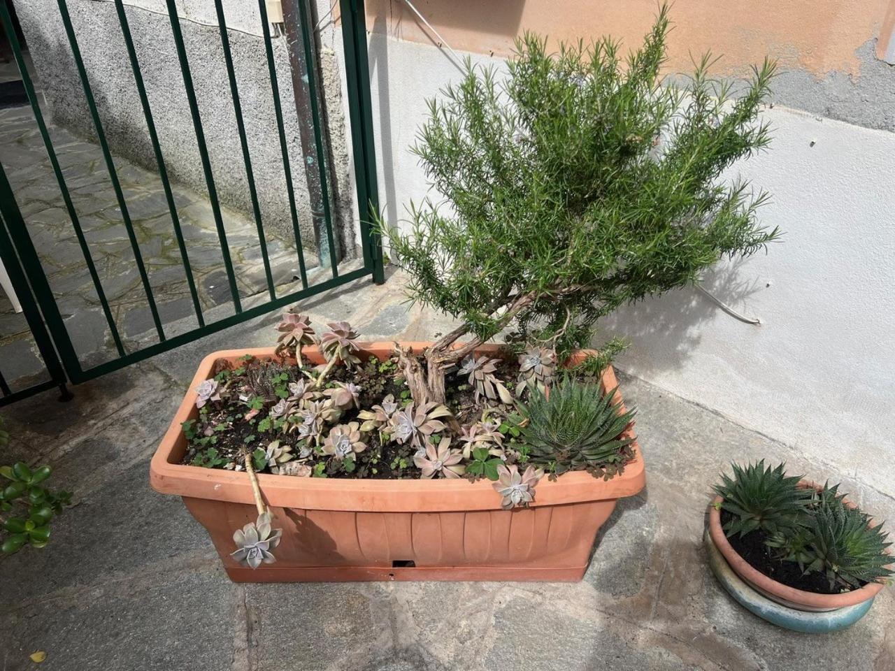Appartamento Vicino Al Mare Moneglia Exterior photo